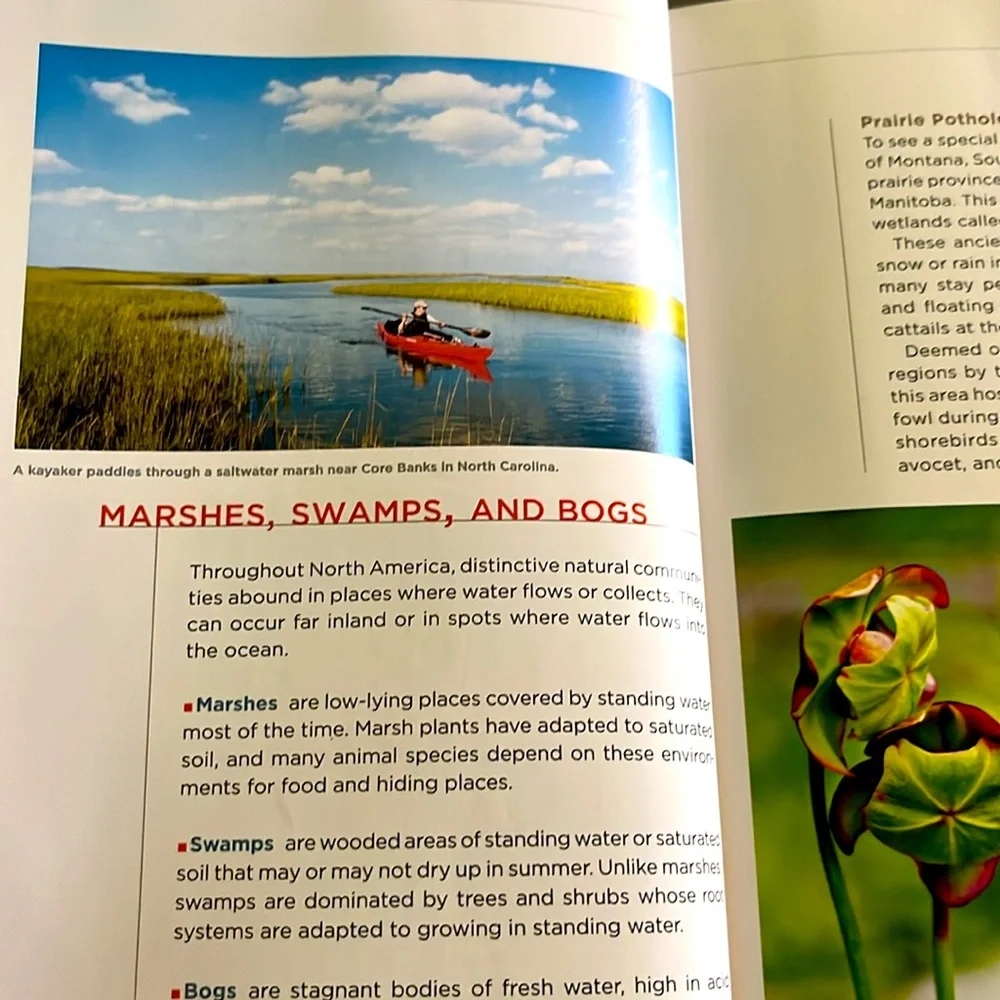 National Geographic Field Guide to the Water's Edge Hardcover Book EXC - Picture 5 of 16